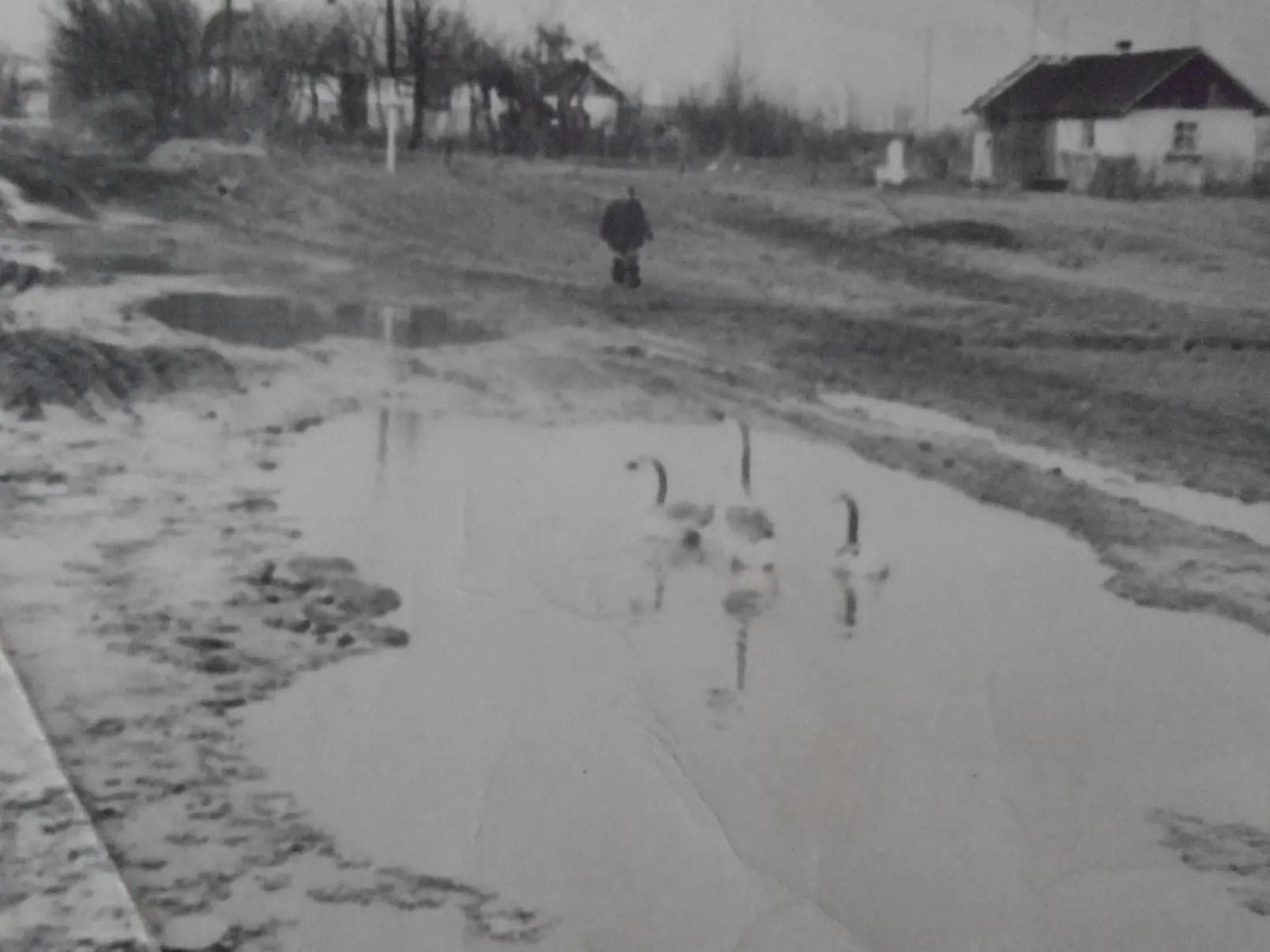 Угорницькі краєвиди. 1974.