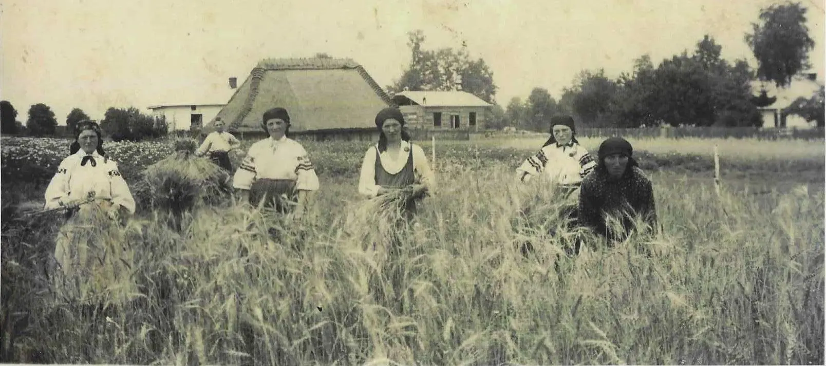 угорники жнива Лесі Українки