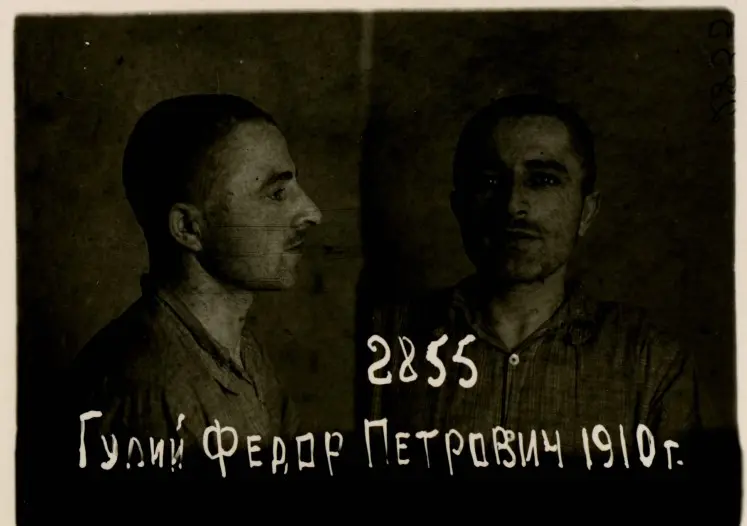 Гулій Федір Петрович