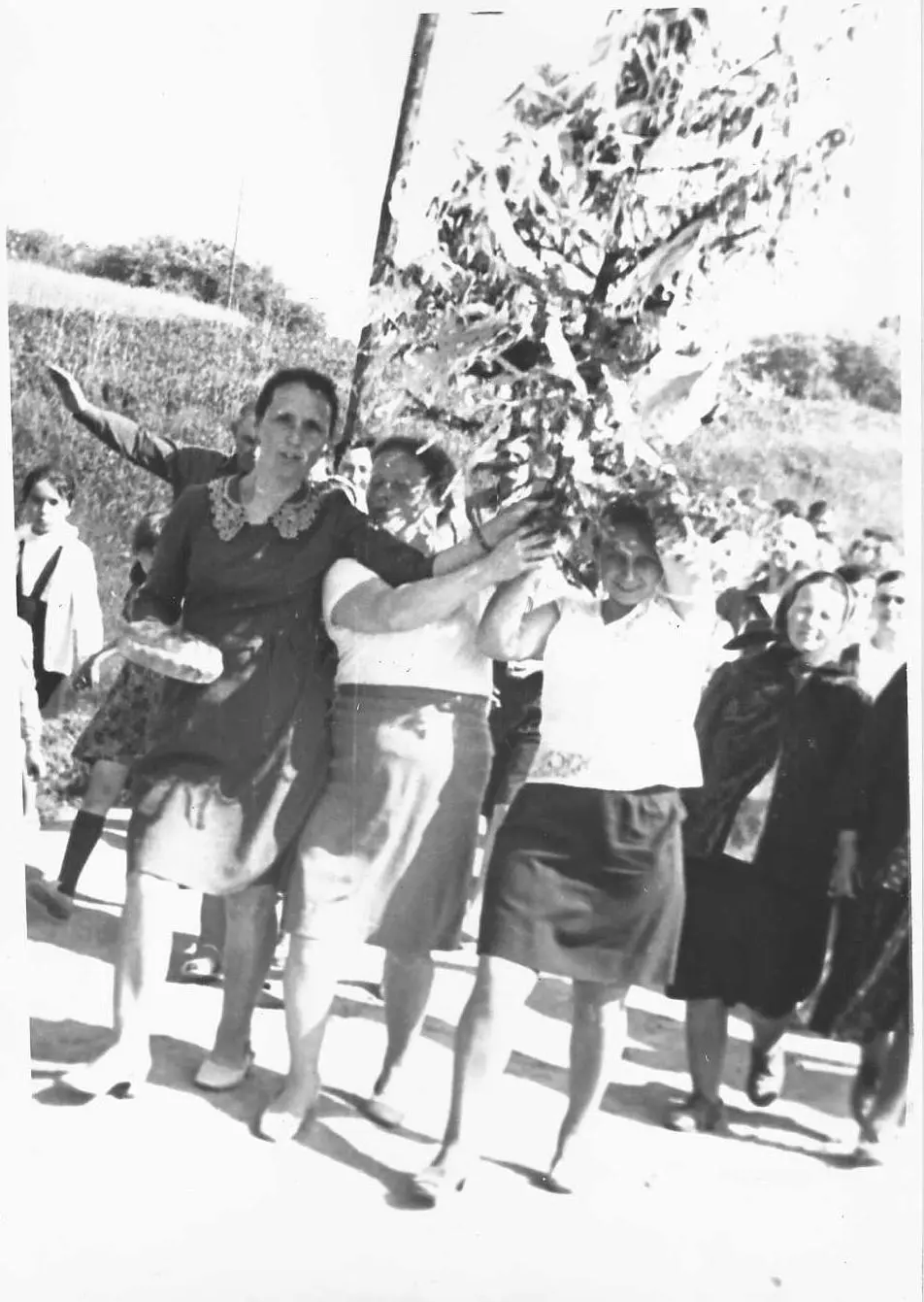 Весілля Богаченка Угорники