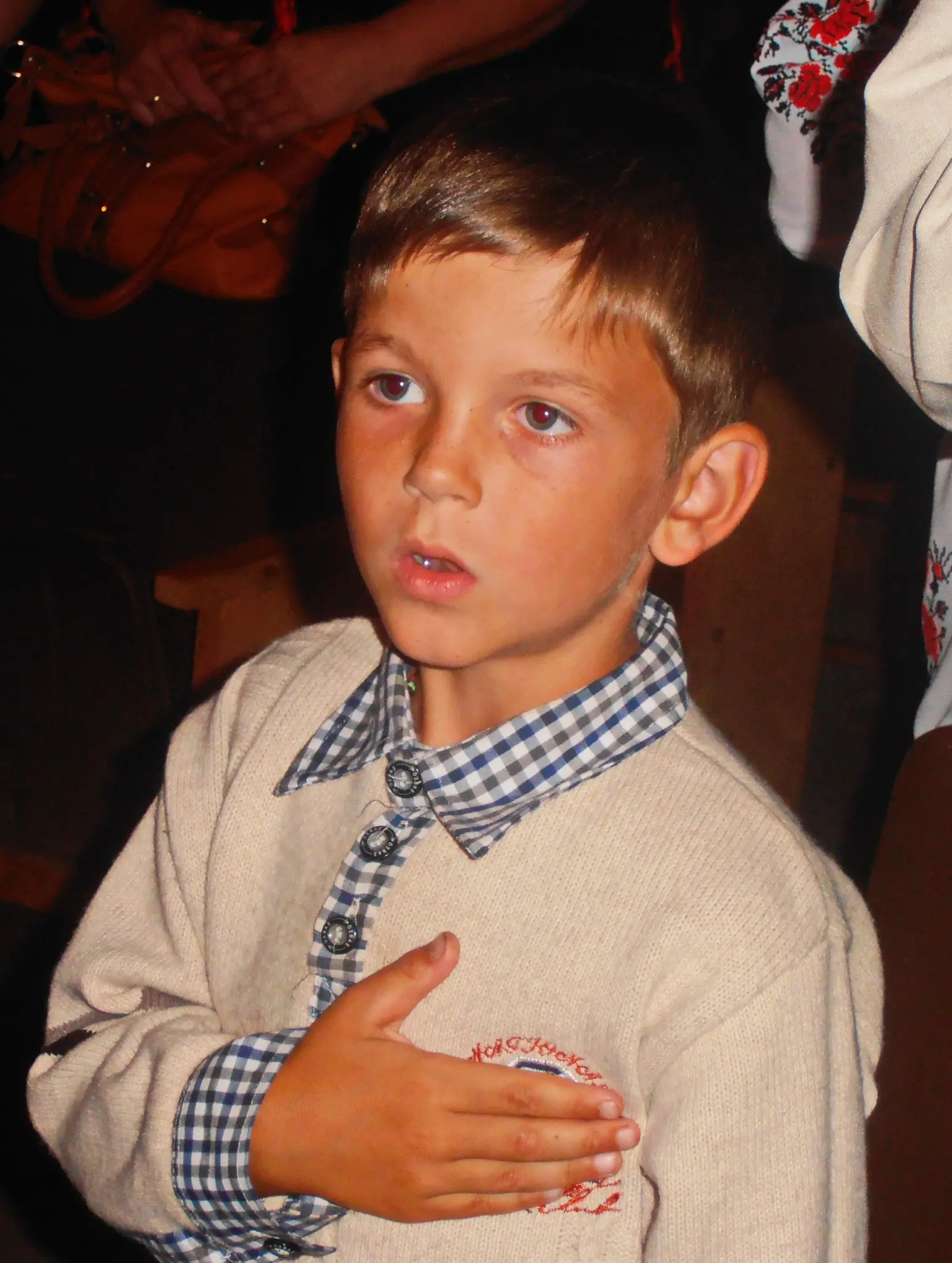 незалежність України Угорники 2014