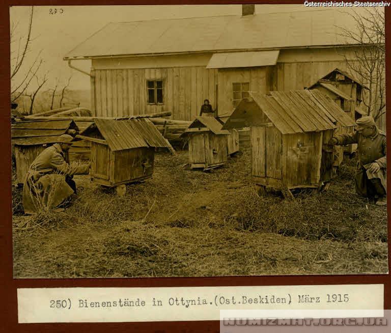 Bienenstande in Ottynia, Ostbeskiden, Marz 1915