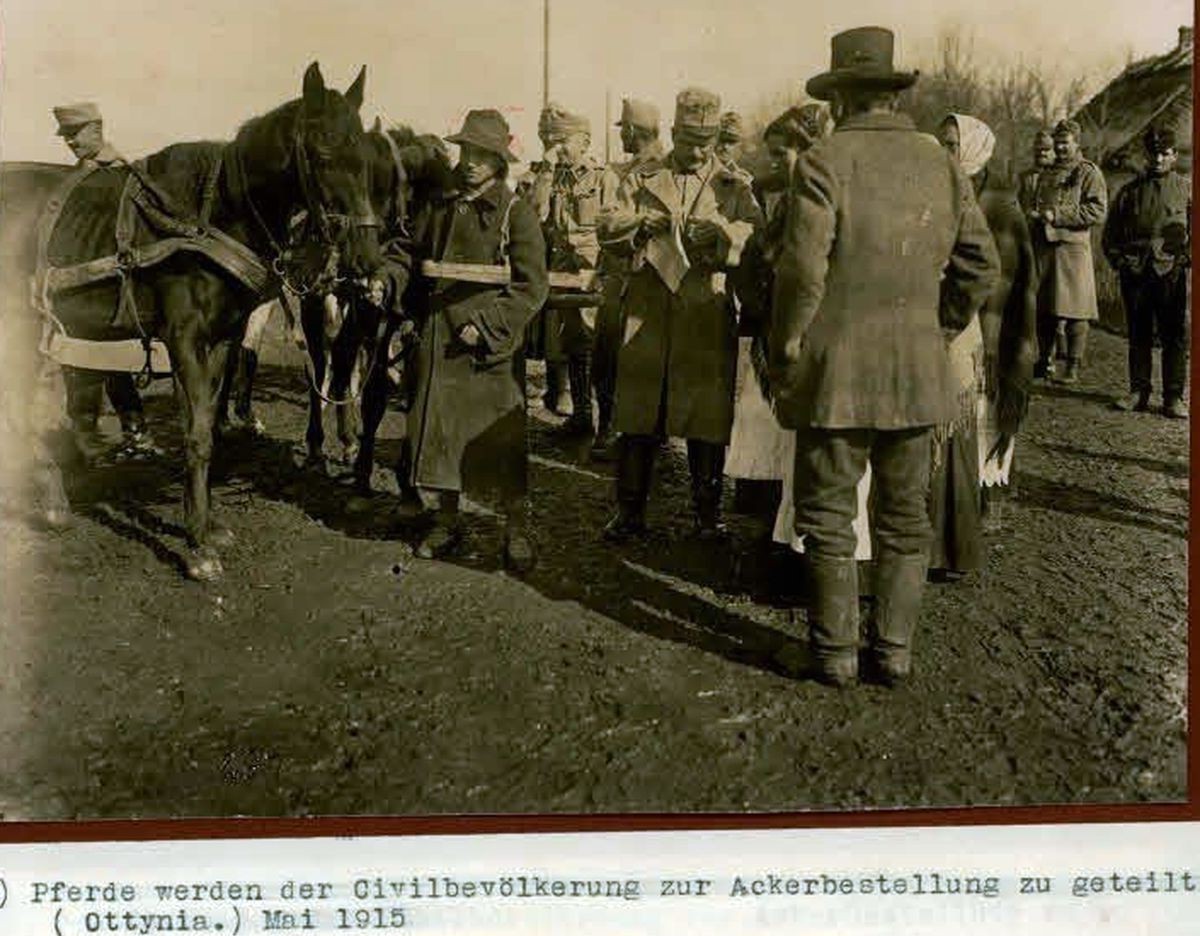 Отинія, 1915 рік.